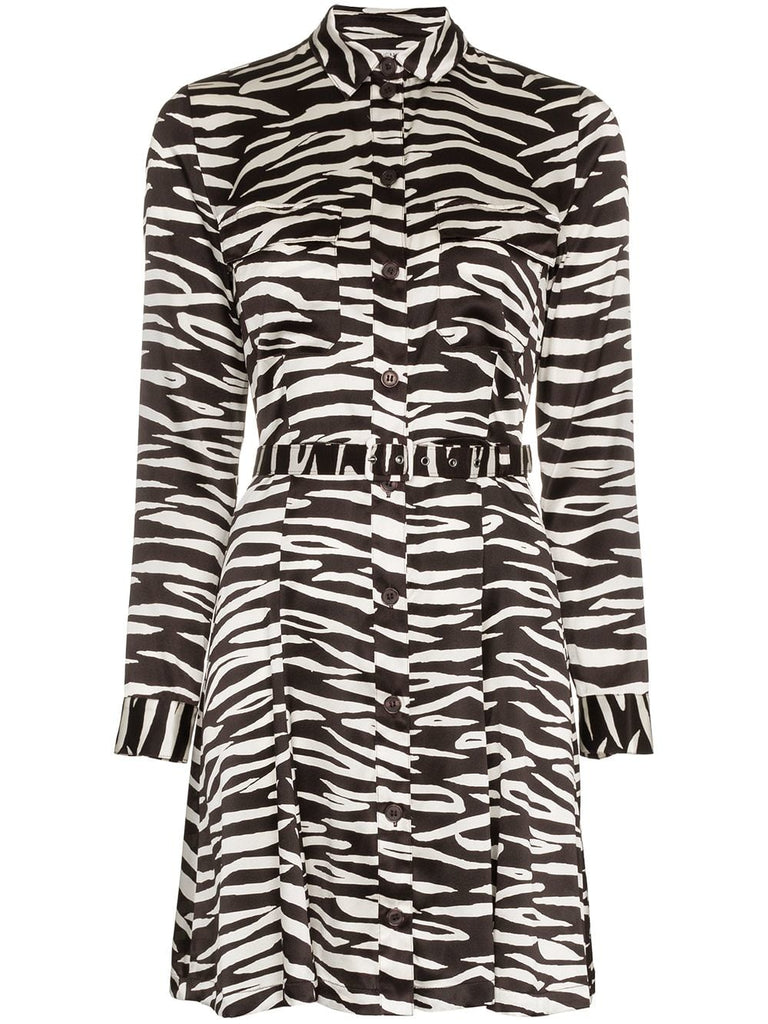 Blakely Zebra Print Mini-Dress