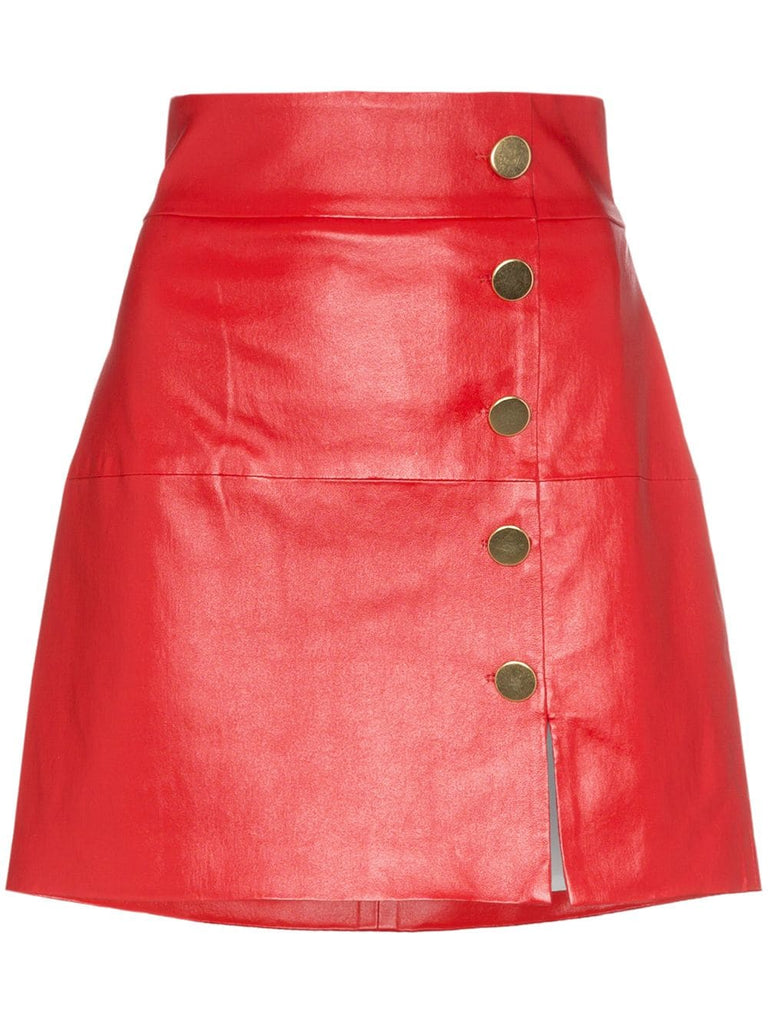 Lucy leather button down mini skirt