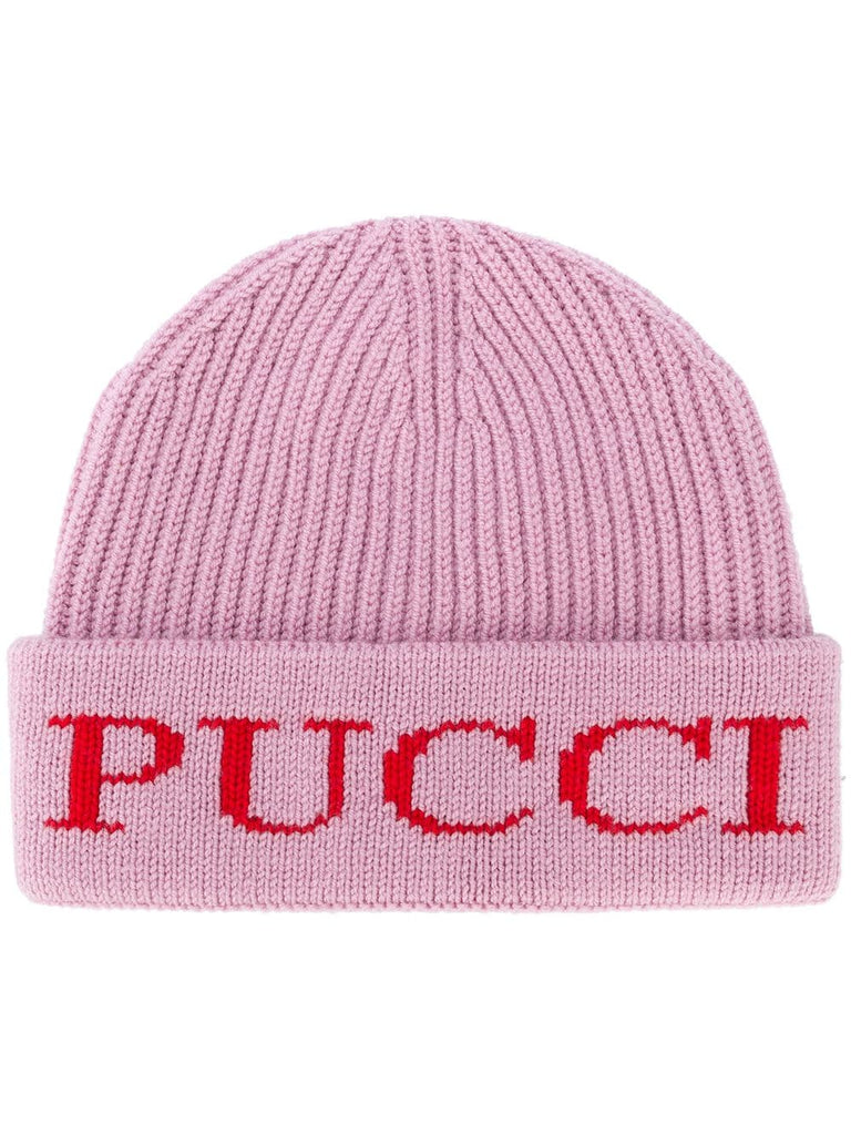 rib knit logo beanie