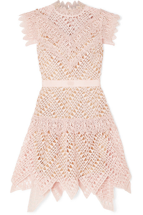 Guipure lace mini dress