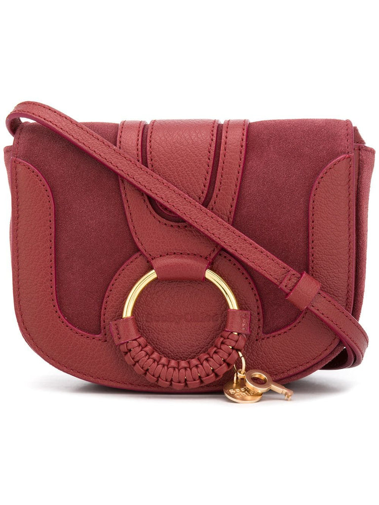 mini crossbody bag