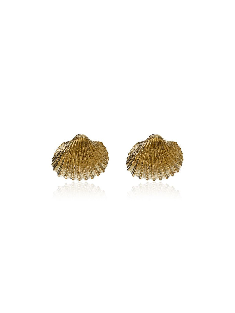 small Beach shell earrings