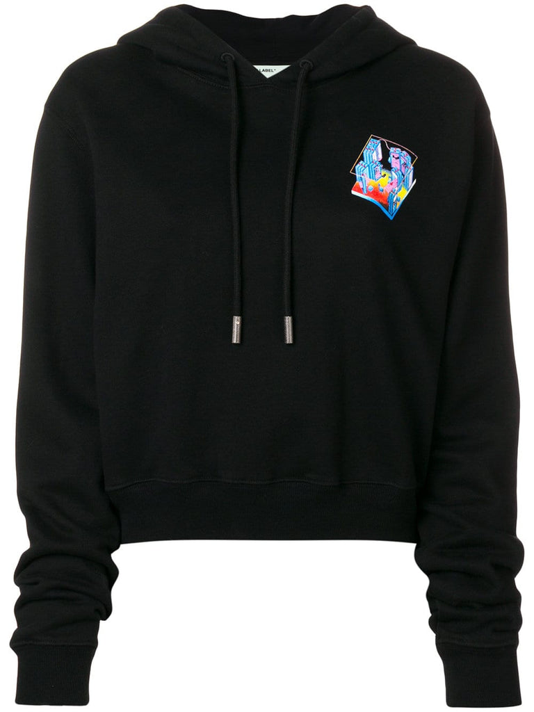 Microenvironment Crop hoodie